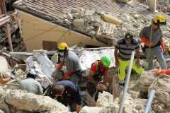Terremoto-forestale-7-2